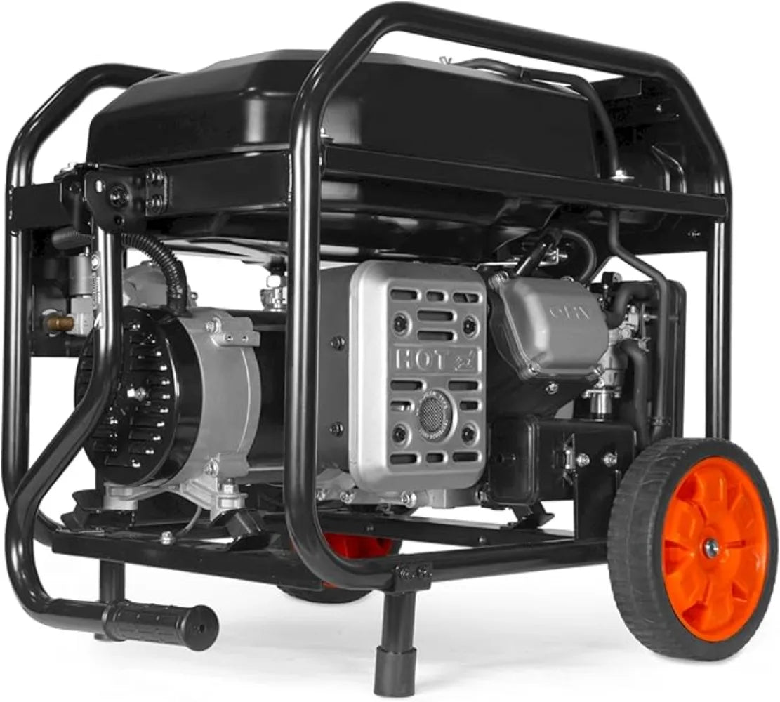 5600-Watt Dual Fuel Electric Start Generator